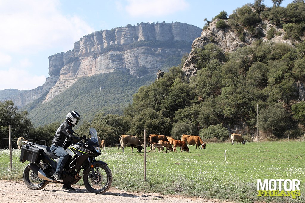 kawasaki_versys-x_300_46