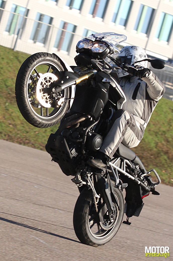 Tiger800