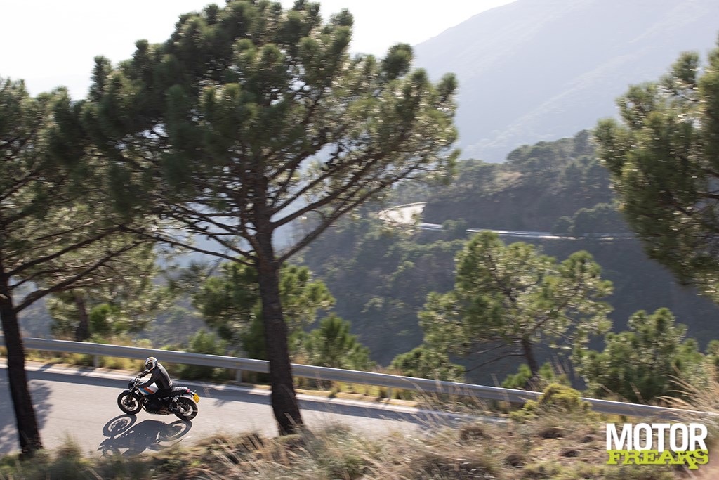 triumph_speed_twin_900_19