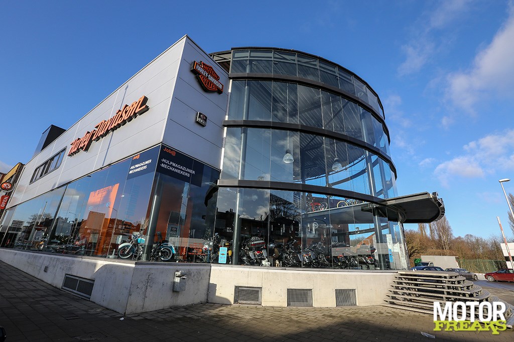 battle_kings_brux_22