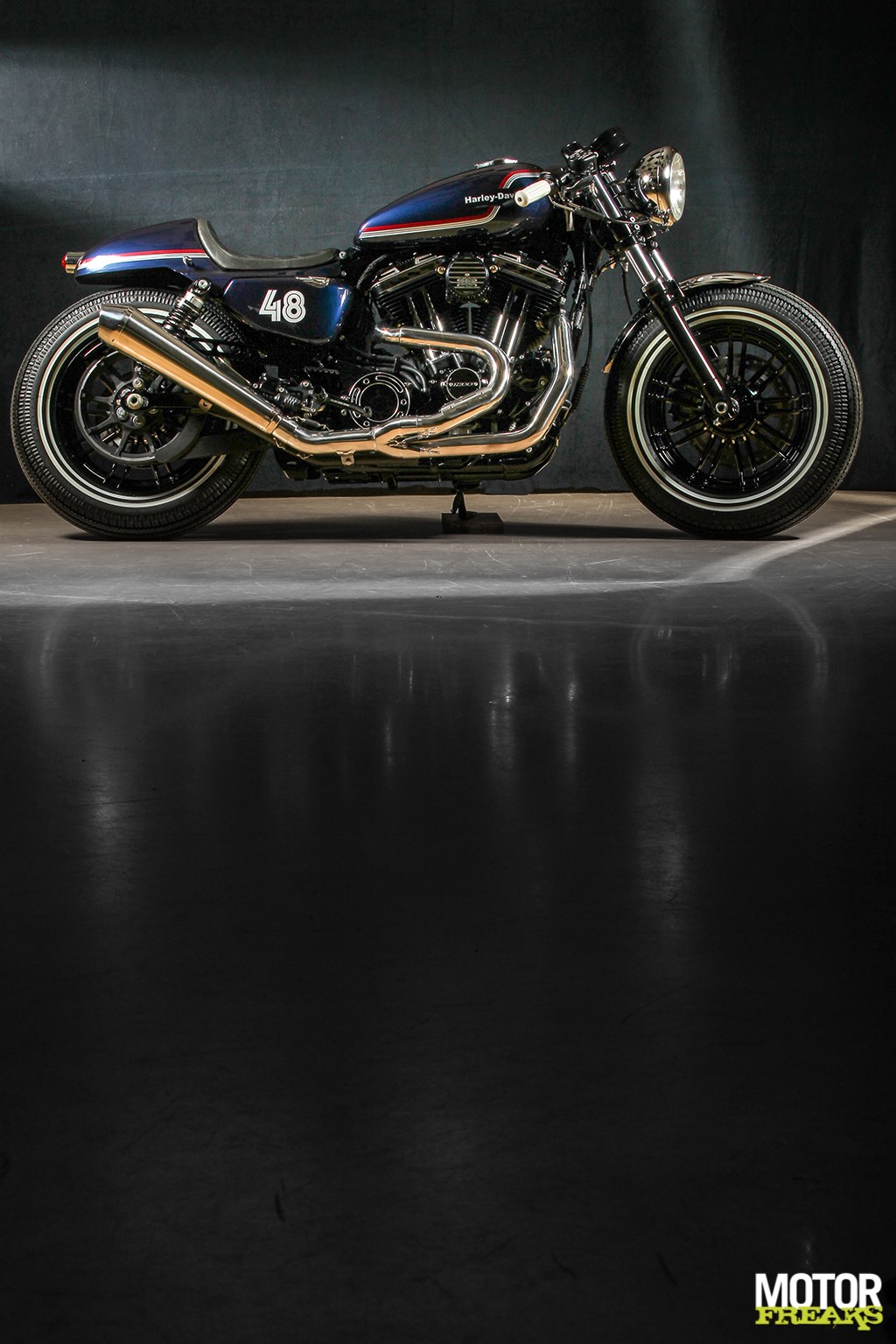 battle_kings_west-flanders_1