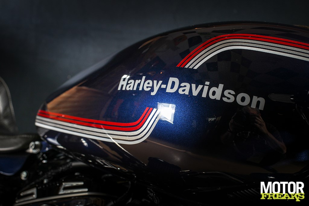 battle_kings_west-flanders_15