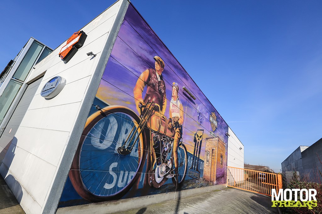 battle_kings_west-flanders_22