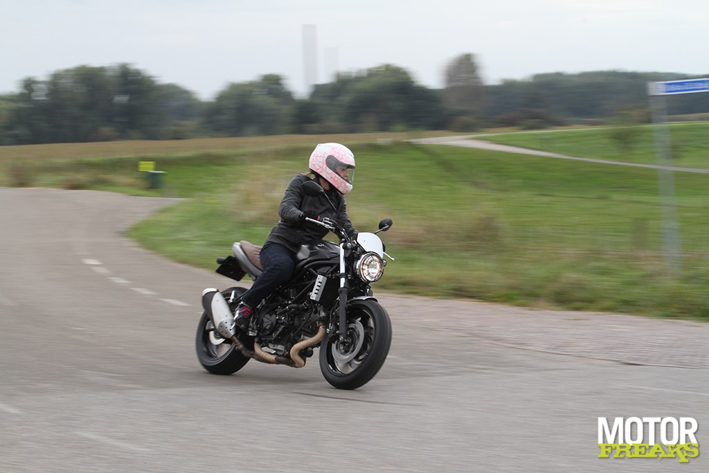 suzuki_sv650_scrambler_04