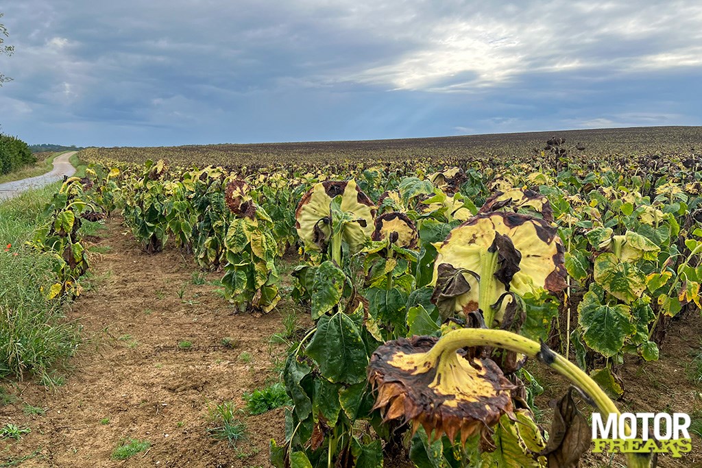 zero_my23_dsrx_saint_tropez_14-1