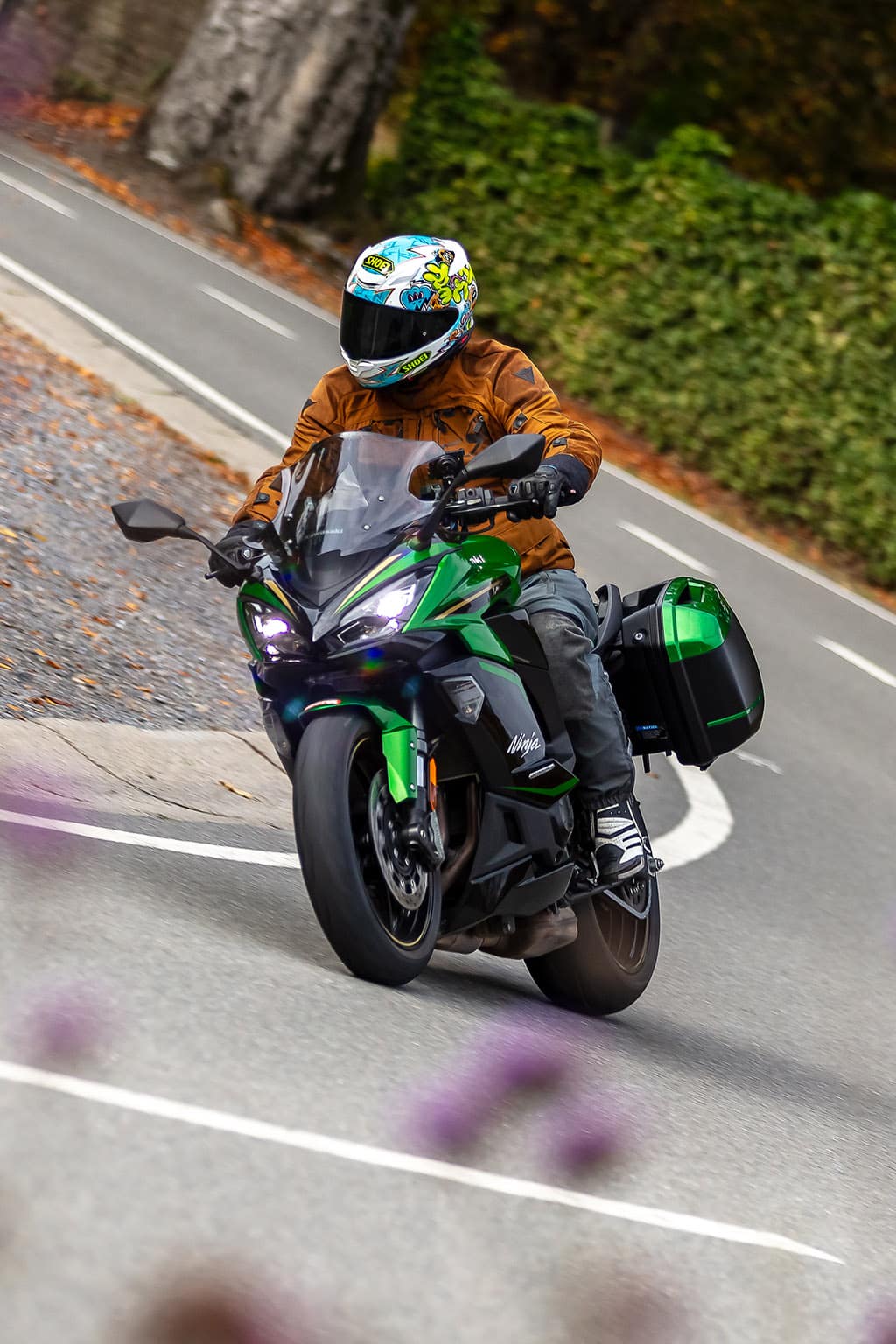 Kawasaki Ninja 1100SX SE Touring Edition